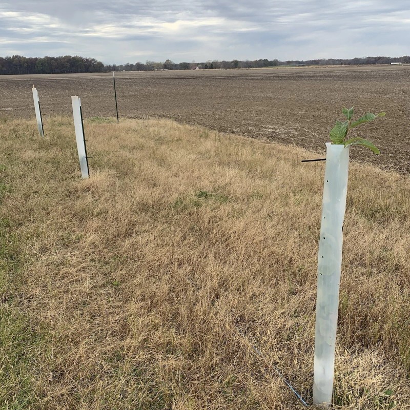 Tree Pro 5 USA Made 60" MIRACLE TUBE TREE PRO