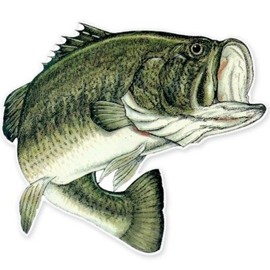 Largemouth Bass Fishing Fish Vinyl Sticker - Car Phone Helmet - Select Size