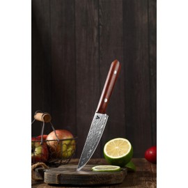 ARTIDGE 4.7" Utility Knife Damascus Steel Multi-Purpose Chef Knife - 67-Layer Forged Kitchen Knife with Natural Solid Wood Handle, 15° Double-Edged Blade, Ultra-Sharp & Durable