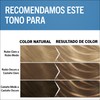 Nordic m1 meches super - Dyes for hair