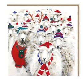 Tracks Publishing Charity Christmas Cards Pack of 5 - Charity Christmas Cards 2024 with a Flock of Festive Sheep Design - Eco-Friendly Xmas Cards Multipack with Envelopes