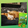 KITTY KA-ZOOM Valerian Root Roar - Catnip & Valerian Root