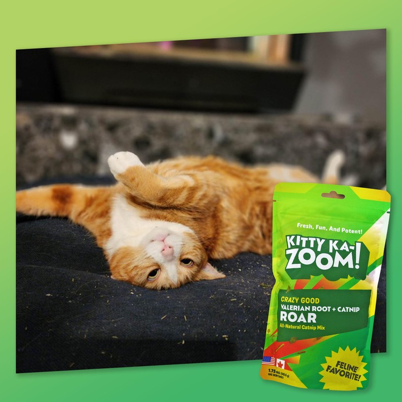 KITTY KA-ZOOM Valerian Root Roar - Catnip & Valerian Root
