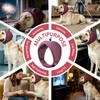 Dotoner Dog Ear Muffs No Shake Anxiety Relief for Thunder