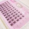 CLEAREYELASH Partial False Eyelashes, Large Capacity, 55 pcs, Korea, Natural,