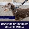 Leash Boss 15 Foot Dog Leash with Padded Handle -