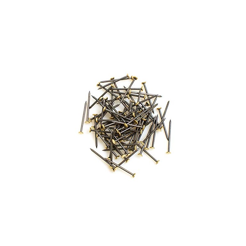 Design61 100x Steel Picture Nail 1.4 x 26 mm