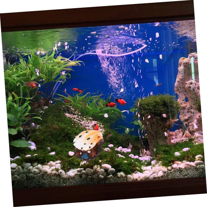 OSALADI Aquarium Shell Decoration Bubbler Function Craft for Fish Tank