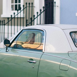 Mr. & Mrs. Panda Car Sun Shade Hedgehog Flowers - Gift, Funny Sayings, Sun Protection for Car, Animals, Sun Car, Visit, Sun Visor Car, Good