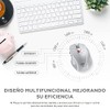 TERPORT F20 Mouse Inalámbrico, Mouse Ergonómico de 2.4G con 5