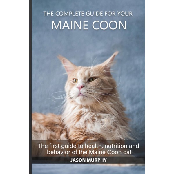 The complete guide for your Maine Coon cat: The first