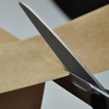 Hasegawa Cutlery Scissors, Bond Free