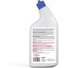 Basics Basics Toilet Bowl Cleaner Cling Action Formula with Bleach,