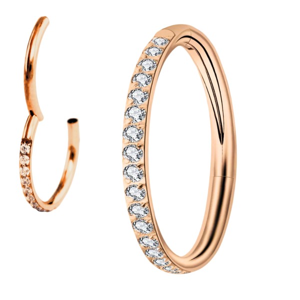 Medinah 16G Titanium Nose Piercing Septum Piercing - Universal Hinge