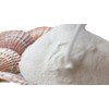 Domestic Flower Shell Baked Powder (Aomori from Flower Shell 100%),