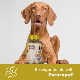 [PororoPet] NutriHome Joint Care for Dogs | Supports Joint Mobility, Flexibility & Overall Wellness | Green Lipped Mussel, MSM & Salmon Oil | 10.58oz (300g), Made in Korea