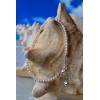 Shells by Patty White Freshwater Pearl & .925 Sterling Silver