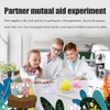 DIY Crystal Growing Science Experiment Kit for Kids Grow 4
