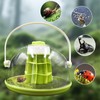 Round Transparent Snail Terrarium Kit, Portable Plastic Habitat with Air