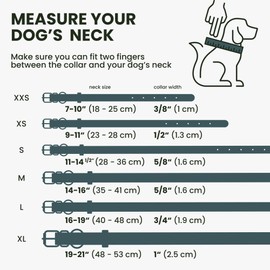 BRONZEDOG Rolled Leather Dog Collar with QR ID Tag Adjustable Soft Round Collars for Small Medium Large Dogs Puppy Cat (14" - 16" Neck Size, Denim)