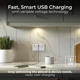 BG Electrical Double Switched Power Wall Plug Socket with Fast Charge Type A and C USB Ports, Screwless, Flatplate, Brushed Steel, White Inserts, 13A, 22W, FBS22UAC22W