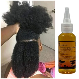 Africa Croton Tree seeds Extract Known Locally as Chebe Hot Oil Scientific Name Croton gratissimus Scalp & Hair Roots Strengthening Hot Oil