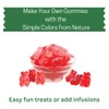 Simple Mixes Natural Gummy Mix, Healthy Snack, Dye-Free, No Gluten