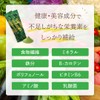 沖縄与那国産 長命草の与那国青汁 30包（約30日分） 抹茶味