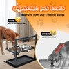 SHAINFUN Elevated Dog Bowls for Large Sized Dog,Raised Dog Bowl