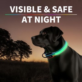 PetIsay LED Dog Collar - 7 Solid Colors & Memory - 300mAh Even Glow, No Half-Neck Light - USB-C Rechargeable, IPX7 Waterproof, Adjustable for Backyard, Hiking, Parties(Small)