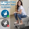2 Pack Foldable Toilet Poop Stool Adult, Portable Squatting Potty