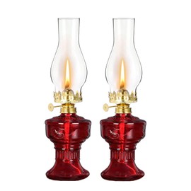 DNRVK 2 Pieces Rustic Oil Lamp Lantern Vintage Color Glass Kerosene Lamp 12.8''Chamber Oil Lamps for Indoor Use Home Decor Lighting Classic Old Hurricane Lamp for Emergency Lighting