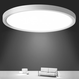 Oraymin LED Ceiling Light Flat Round Ceiling Light 24 W IP44 Waterproof Bathroom Lamp 3000 K 4000 K 6500 K Bedroom Lamp LED Panel for Kitchen Bedroom Hallway Cellar Balcony Diameter 30 cm