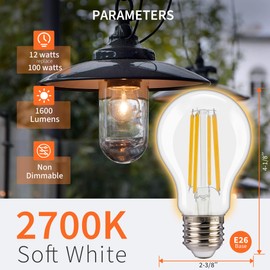 ALAMPEVER 1600LM A19 LED Light Bulb, 12W(100 Watt Equivalent), 2700K Soft White, Bright Light Bulb, E26 Base, Non-Dimmable, 4 Pack