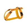 Anny·x Fun Adjustable Dog Harness, Sizes XXS to XL (Goldbells,