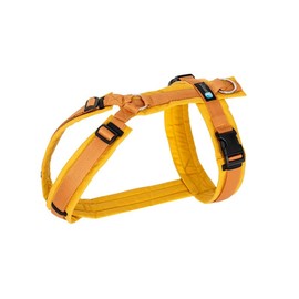 Anny·x Fun Adjustable Dog Harness, Sizes XXS to XL (Goldbells, XXS)