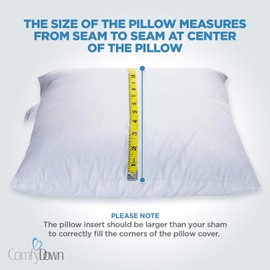 ComfyDown 95% Feather 5% Down, 21 X 21 Square Decorative Pillow Insert, Sham Stuffer - Made in USA