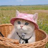 FORGEMATE Adjustable Sun Protection Hat for Indoor Cats, Waterproof Fisherman