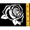 The Cyber Cave Beautiful Rose! High Quality, High Gloss 4.5"