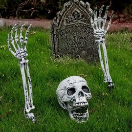 Halloween Decoration Skull Model Model Skull Arm Set of 3 Illuminating Movable Skeleton Similar to Realistic Plastic Liver Test Ghost Simulation Decoration Interior Halloween Entertainment Party Tools