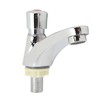 Time Delay Faucet Basin Tap Water Saving Self Closing Push