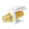 Skywalker F Female to RCA Female Keystone Insert with Blue