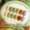 classic nail Vibla Guhwang Crop Glitter Syrup Gel 15 Piece