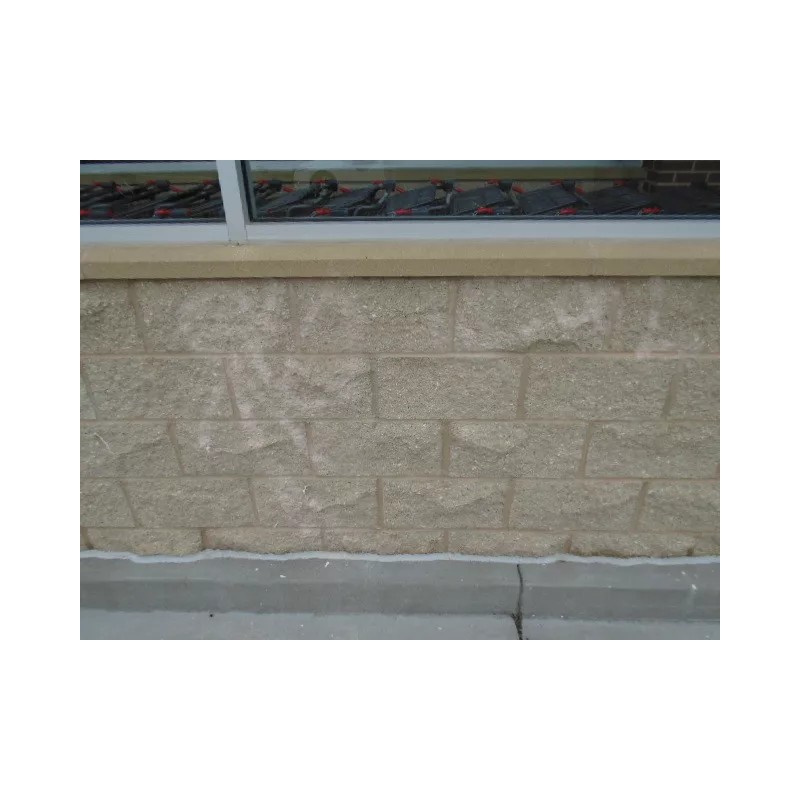 GRAFFITI REMOVER SHADOW MAX 1 GALLON BY GRAFFITI SOLUTIONS