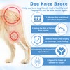 Dog Knee Brace for Hind Front Leg, Adjustable Dog ACL