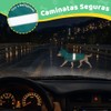 wishkit Impermeable para Perro Reversible, Poncho de Lluvia con Tiras