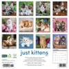 Willow Creek Press, Just Kittens 2026 Wall Calendar, 12'' X