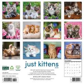 Willow Creek Press, Just Kittens 2026 Wall Calendar, 12'' X 12'', 18-Month Calendar with Stapled Binding