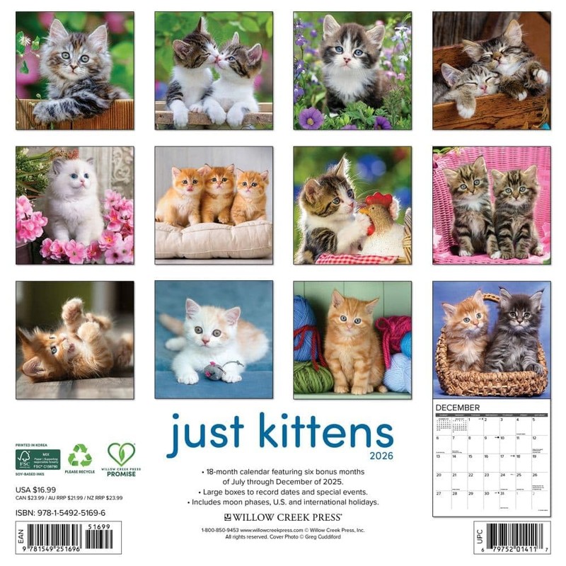 Willow Creek Press, Just Kittens 2026 Wall Calendar, 12'' X