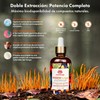 PoderFunga - Tintura Adaptógena de Doble Extracción Cordyceps, Reishi, Melena